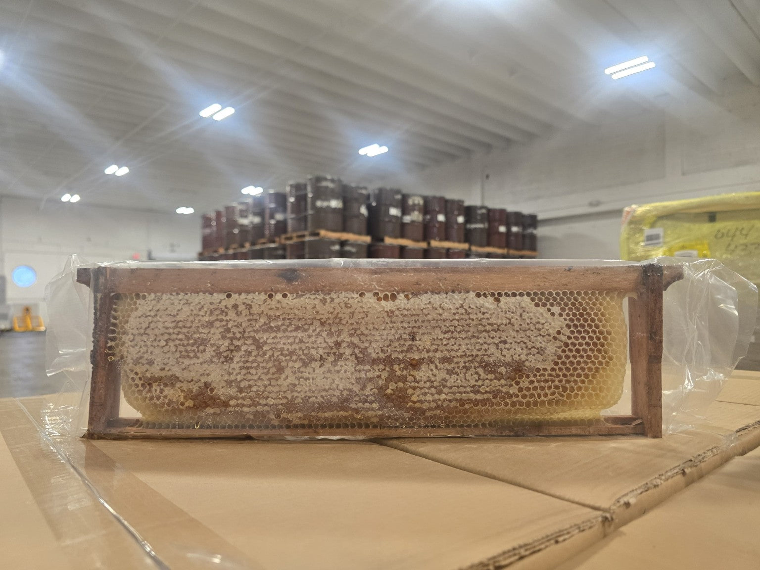 Full honeycomb frame from Argentina